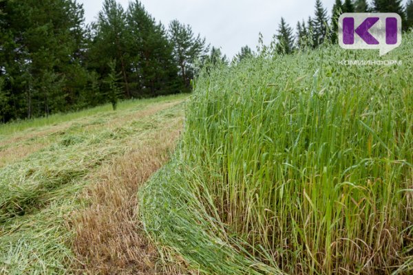 В Коми объявят режим ЧС в сфере сельского хозяйства