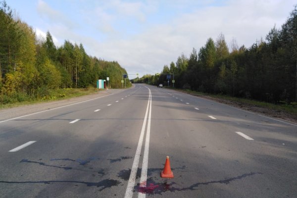 В Усть-Куломском районе иномарка задавила лежащего на дороге мужчину