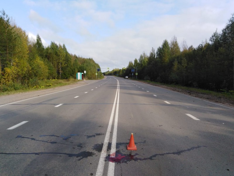 В Усть-Куломском районе иномарка задавила лежащего на дороге мужчину