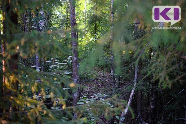 Пропавшая в лесу шесть дней назад 61-летняя жительница Коми найдена мертвой