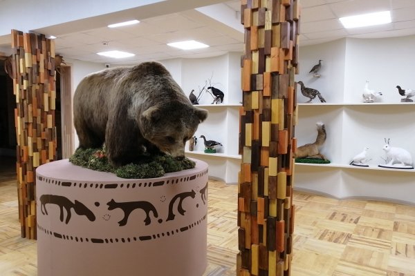 Юных ухтинцев учат основам экологии с помощью легенды о медведе

