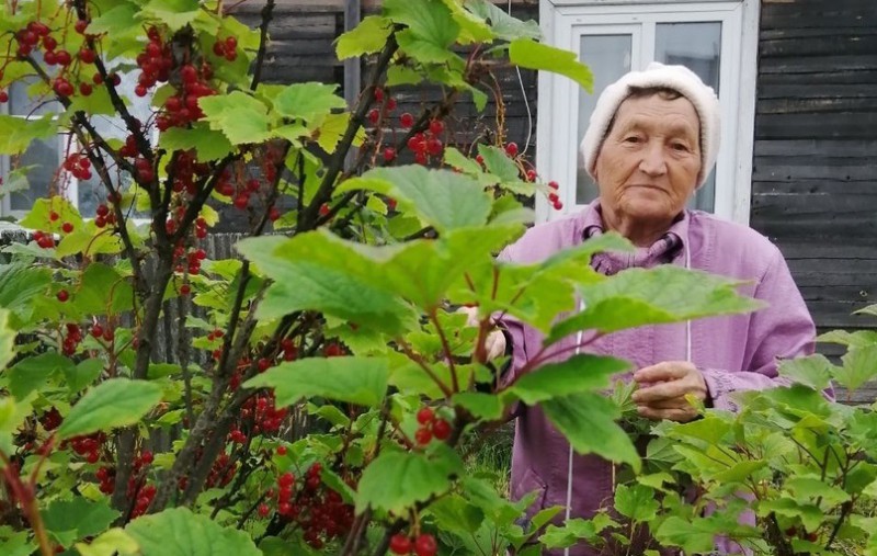 Пожилую женщину из Архангельской области ищут в Сыктывкаре