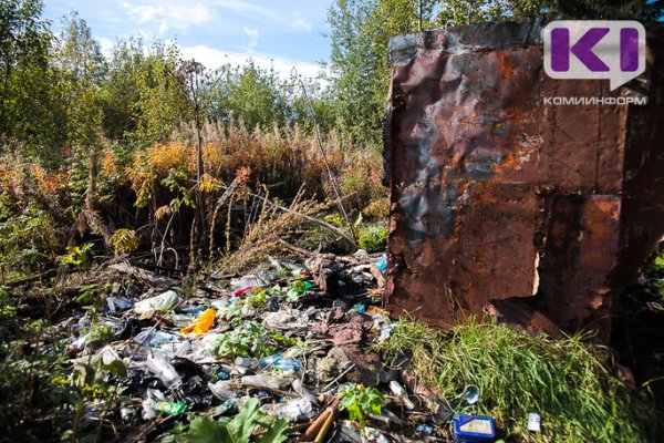 Госдуме напомнили о пробеле в законодательстве в части ликвидации свалок отходов в лесах