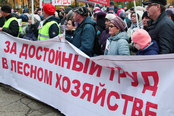 Митинг профсоюзов в Сыктывкаре посвятили лесному хозяйству