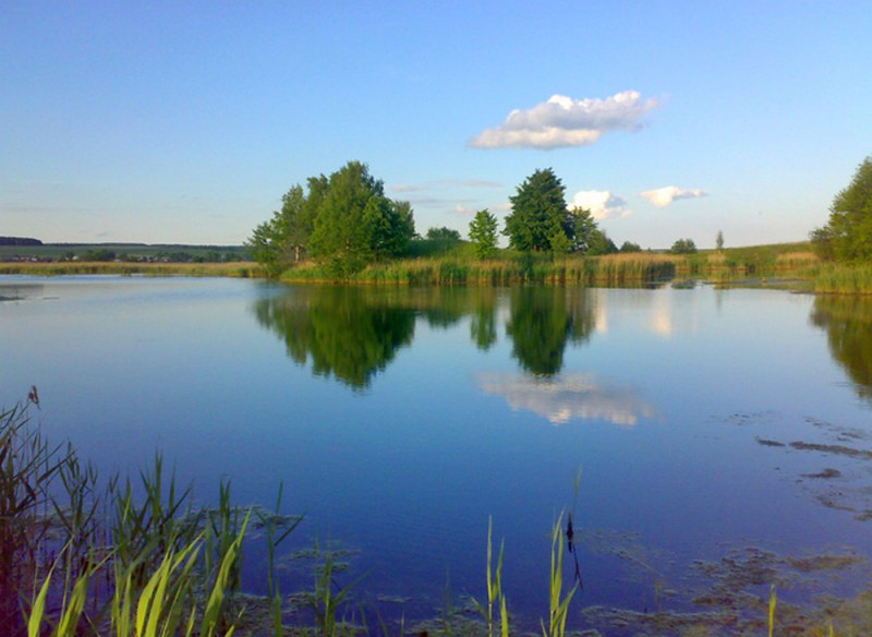 В Коми упразднят памятник природы "Озеро Ертом-Вад"
