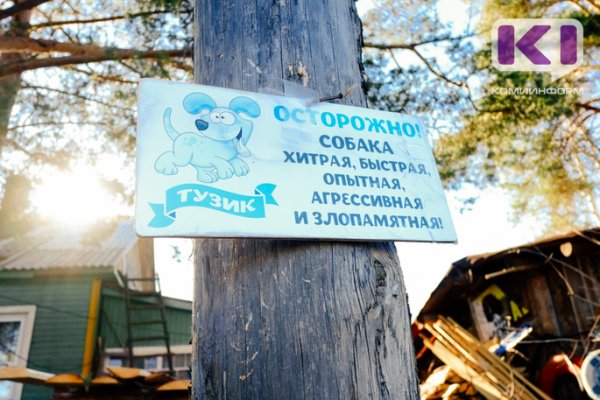 Не кусайся: житель Сыктывдинского района отсудил моральный вред с хозяйки агрессивной собаки