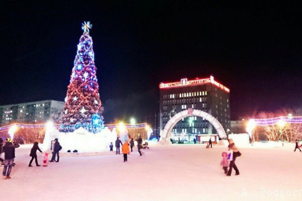 Администрация Воркуты вернет новогоднюю елку продавцу 