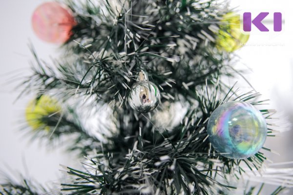 В Печоре с новогодней елки украли гирлянду
