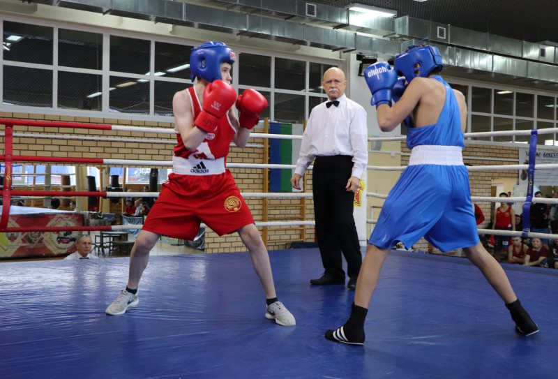 В Сыктывкаре при поддержке "Т Плюс" прошел детский Новогодний турнир по боксу