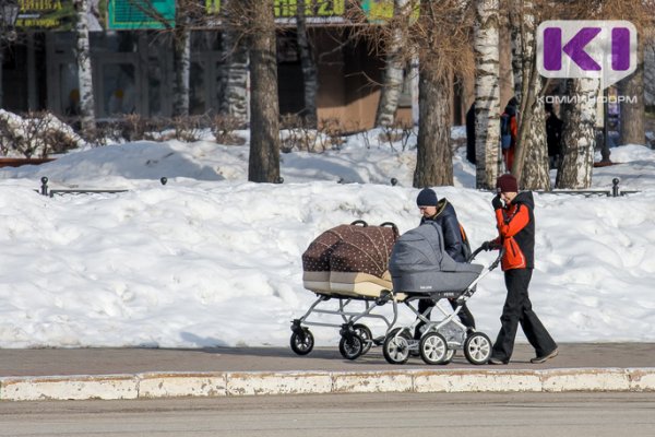 Сообразим на троих: в Коми семьи с родившимися тройняшками-первенцами получат от государства порядка 2 млн рублей
