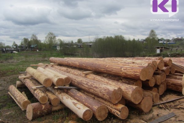 Жителя Усть-Вымского района оштрафовали за незаконную рубку деревьев