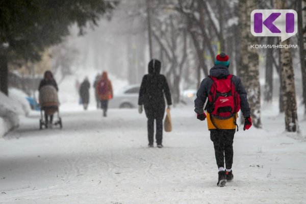 Календарная зима закончится в Коми аномально теплой погодой