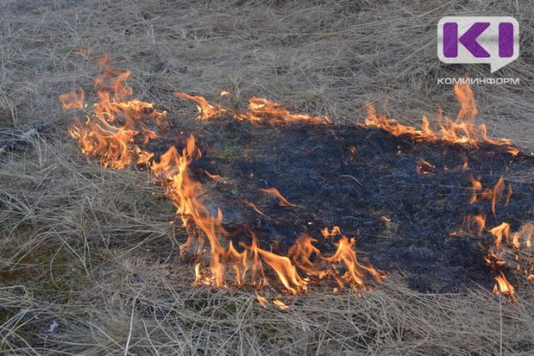 В Коми за сутки пожарные дважды выезжали на тушение сухой травы