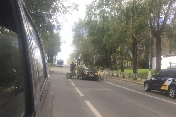 Сыктывкарец взыскал с дорожников более 350 тыс. рублей поцарапанную веткой дерева машину