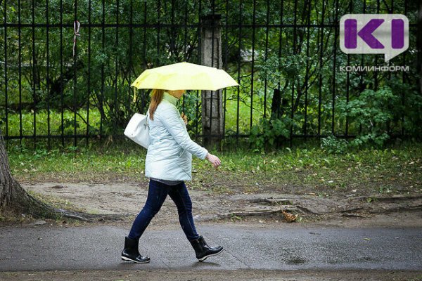 Дожди и грозы обещают синоптики Коми на предстоящей неделе