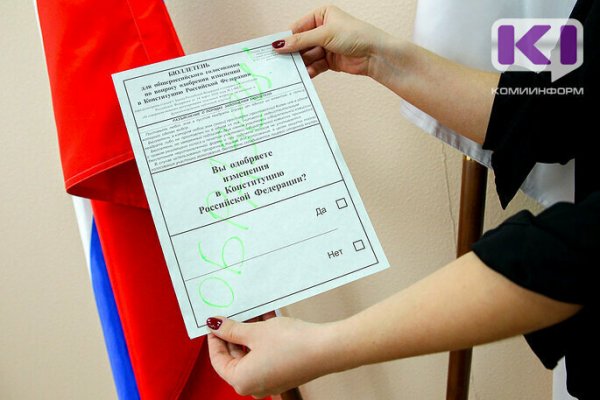 В новой Конституции есть, за что голосовать - Лариса Лютоева 