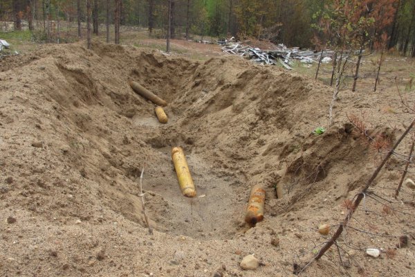В Удорском районе схрон с опасным веществом убил деревья в округе