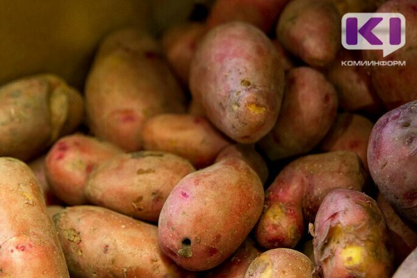 В Коми упразднена карантинная фитосанитарная зона по картофельной нематоде