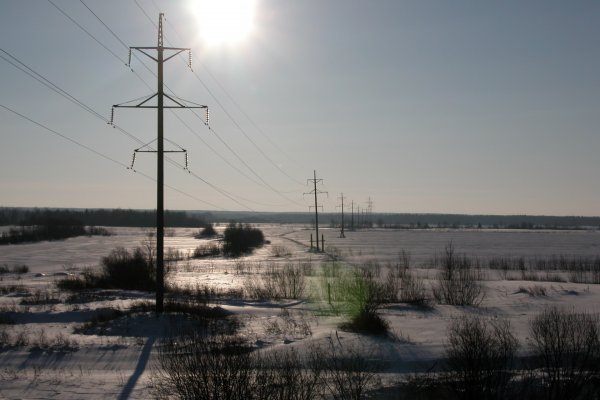 Эксперты установили причину нарушения в электроснабжении в Усинске