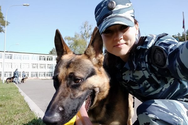 В Печоре служебная собака помогла найти похищенную водку