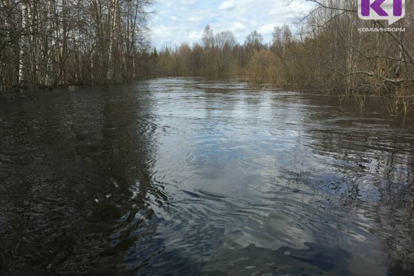 В Усинске на причале реки Уса ищут двух пропавших женщин 