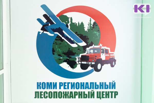 В Коми лесопожарном центре появятся новые снегоболотоходы