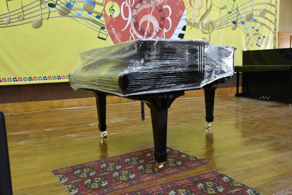 В Визинге детская школа искусств получила современные инструменты

