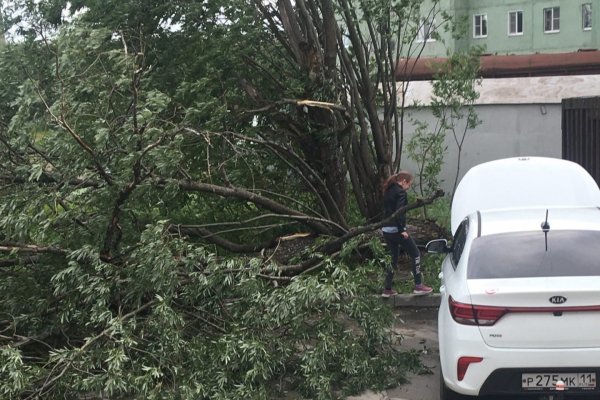 Жители северных районов Коми показали последствия урагана