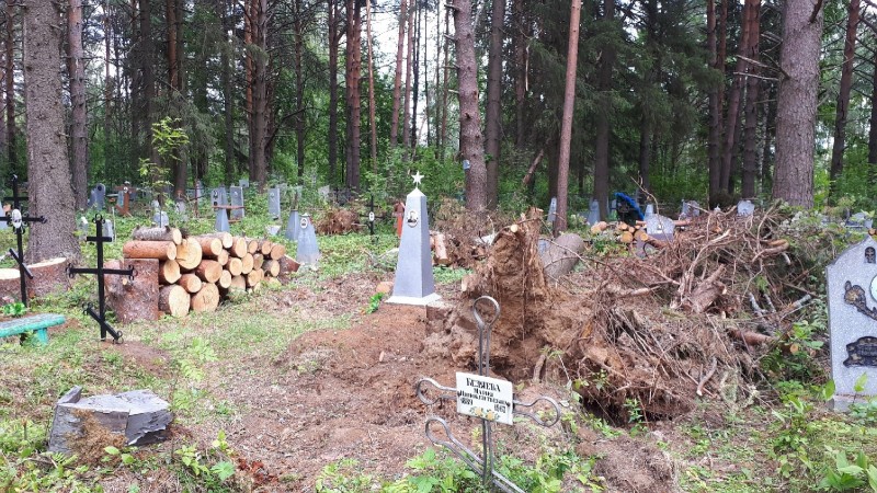 Жителей Сысольского района призвали на уборку кладбища и разрешили забрать спиленные деревья для растопки бань