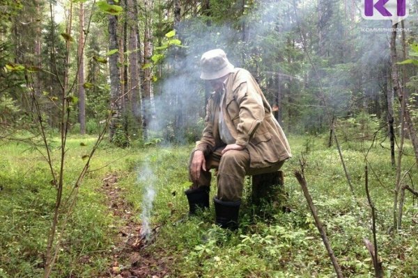 В Прилузье потерявшийся в лесу пенсионер заготовил дрова, достал припасы и ждет спасателей 
