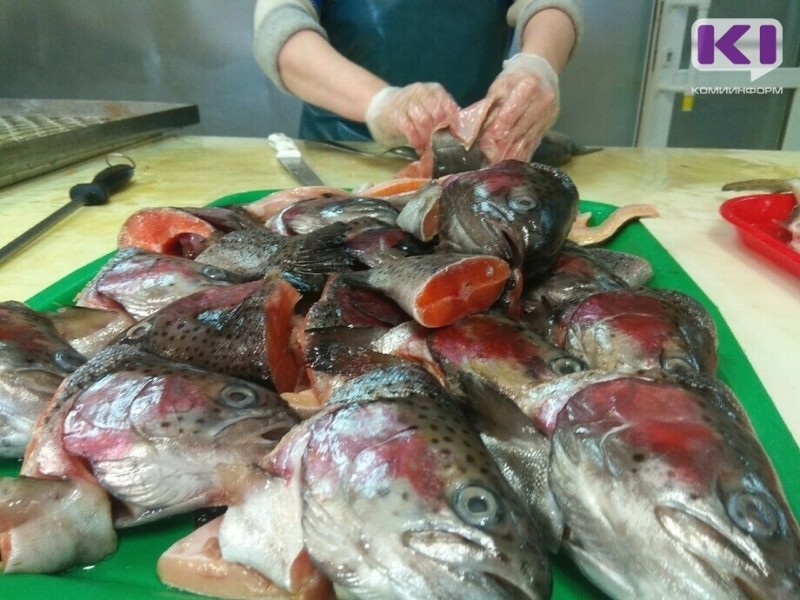 В Коми поддержали грантами три рыбных агростартапа