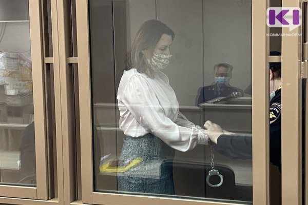Адвокат Ирины Шеремет обжаловал ее арест