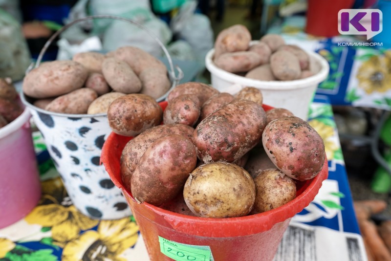 Сбор овощей открытого грунта в Коми уменьшился на треть, а картофеля - на 3,7%