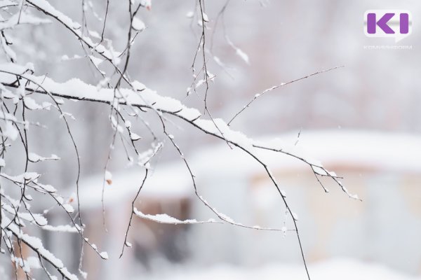 Прогноз погоды в Коми на 10 декабря: на западе небольшой снег, на востоке - сильный