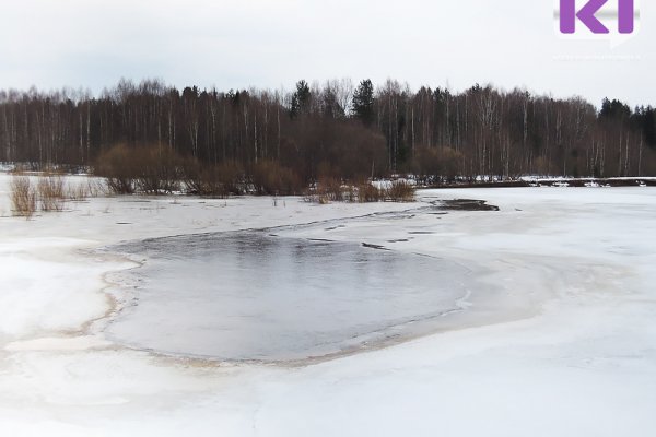 В Коми на болоте снегоход вместе с охотником провалился под лед