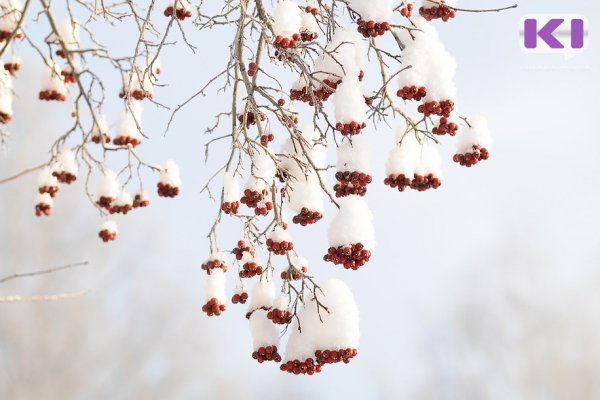 Погода в Коми 3 февраля: на юге -2°С, на севере -10°С