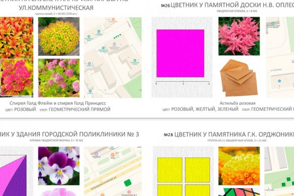 На оформление цветников власти Сыктывкара готовы потратить 9 млн рублей  