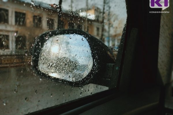 Погода в Коми 25 мая: дожди