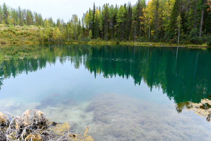 Новый федеральный заказник "Параськины озера" стал проблемой для ухтинских охотников 