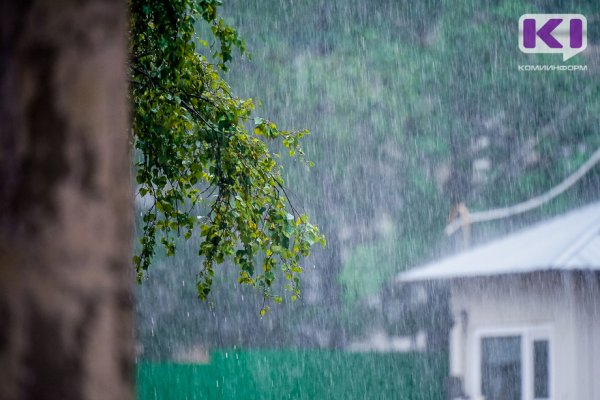 Погода в Коми 25 июня: небольшой дождь, ветер, днем +9...+14°С
