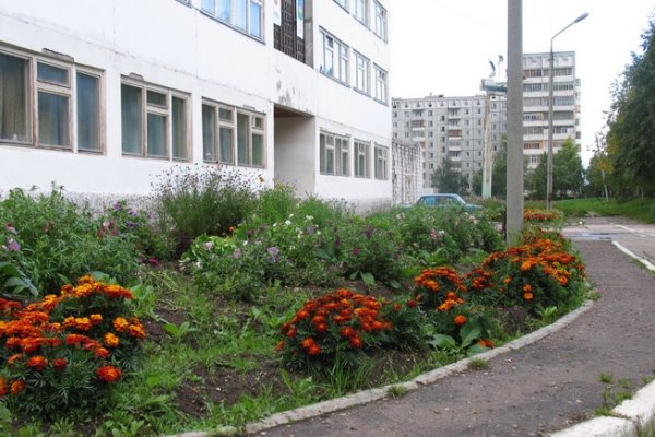 Сыктывкарцы просят запретить парковку авто у одной из крупных школ города