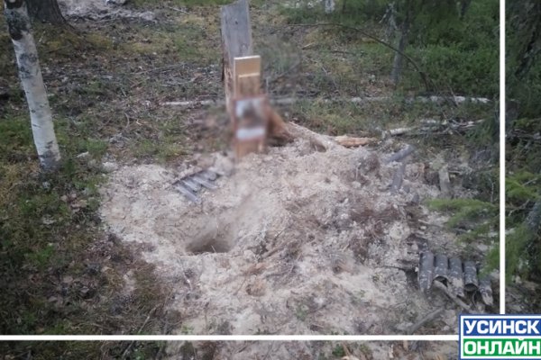 В Усинске медведь разворотил кладбище домашних животных, сообщают местные жители 