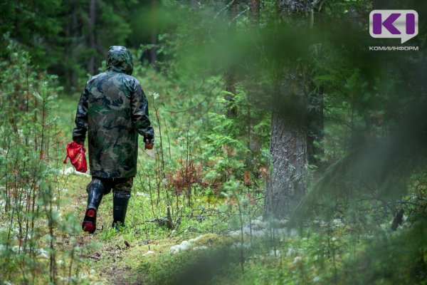 В Усинске вновь вышли на поиски 69-летнего лесника 
