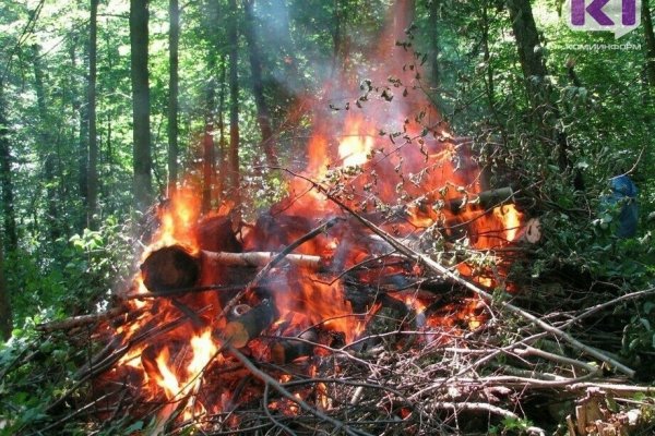 В Коми действуют 17 лесных пожаров