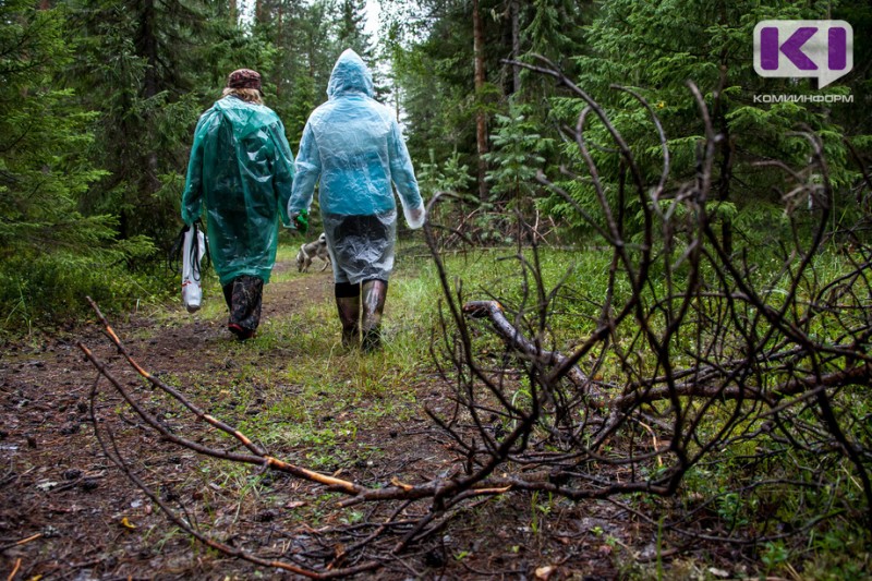 Волонтеры "Лиза Алерт" рассказали, как искали пропавших в Усть-Куломском районе грибников