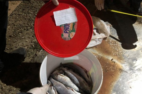 В Сосногорске выявлен факт незаконной ловли рыбы на сумму свыше 1,2 млн рублей