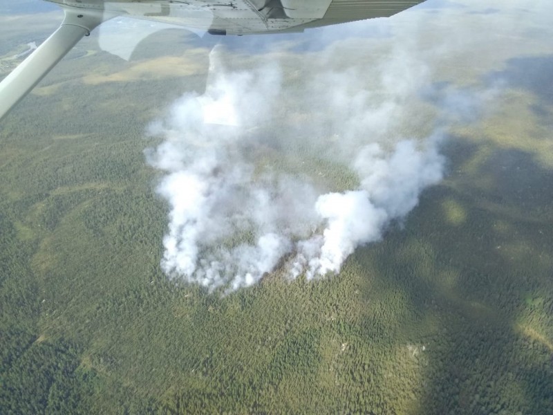 Аукцион на тушение лесных пожаров в Коми выиграл Единый лесопожарный центр Архангельской области