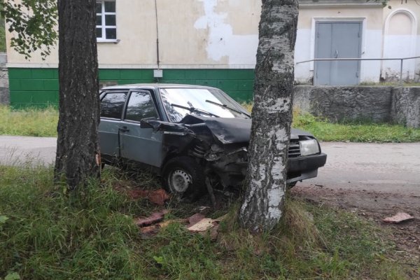 В Сосногорске неопытный водитель врезался в дерево 