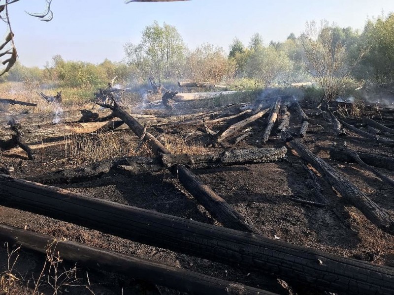 Спасатели МЧС подключились к тушению лесного пожара в Сыктывдинском районе 