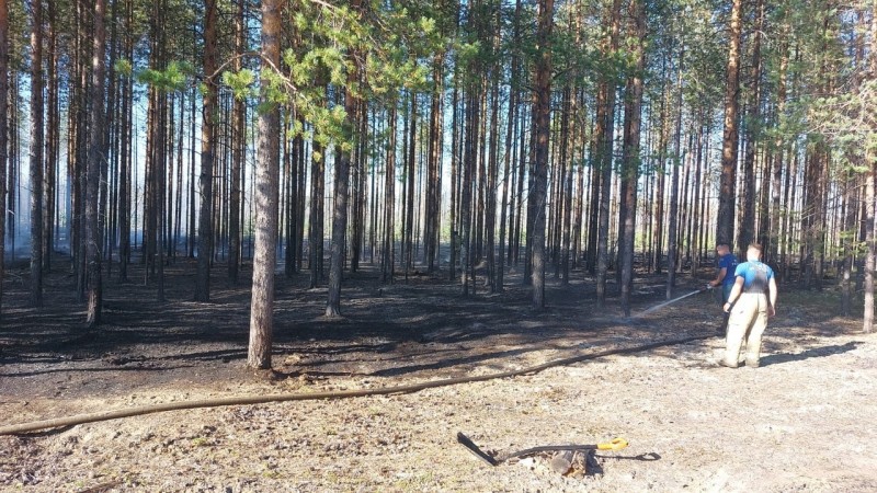 Лесопожарная обстановка в Коми улучшается